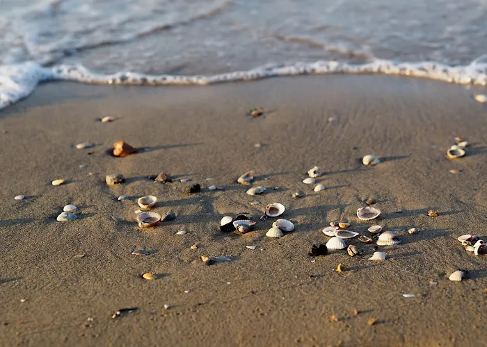 Appartamento Flat 100mt From The With Sunny Balcony