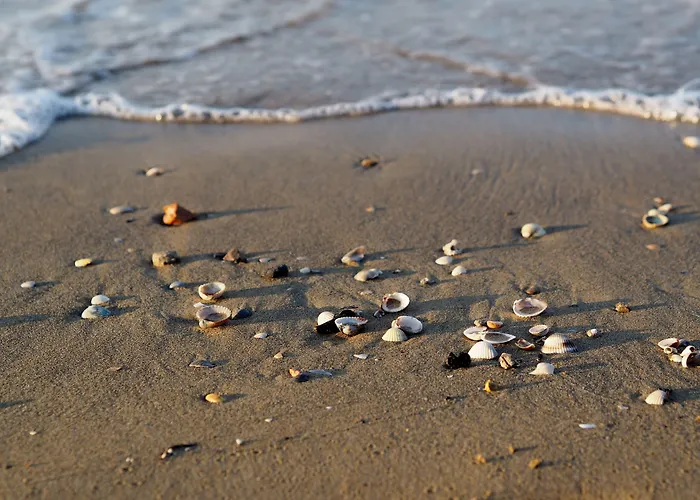 Flat 100mt From The With Sunny Balcony *